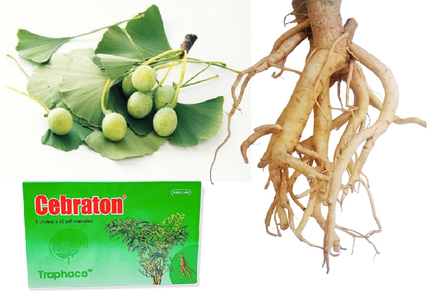 Cebraton được điều chế từ lá bạch quả và rễ đinh lăng