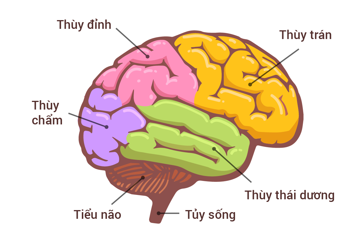 Trang chủ WEB BANNER 01