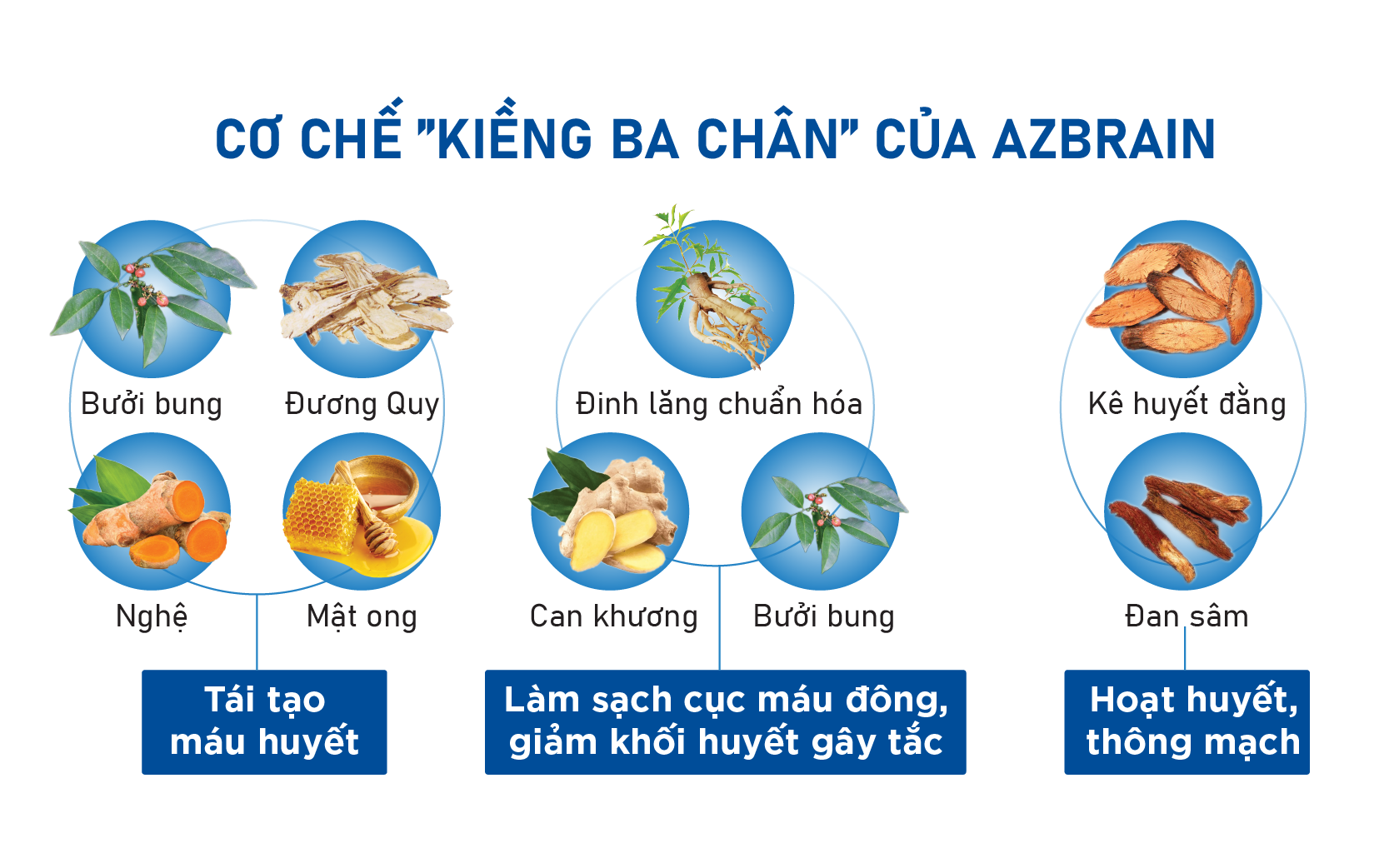 Cơ chế tác động theo kiểu kiềng 3 chân hoặc ảnh sản phẩm 