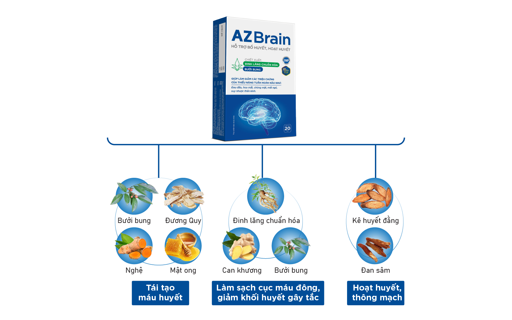 AZBrain - bổ trợ hoạt huyết