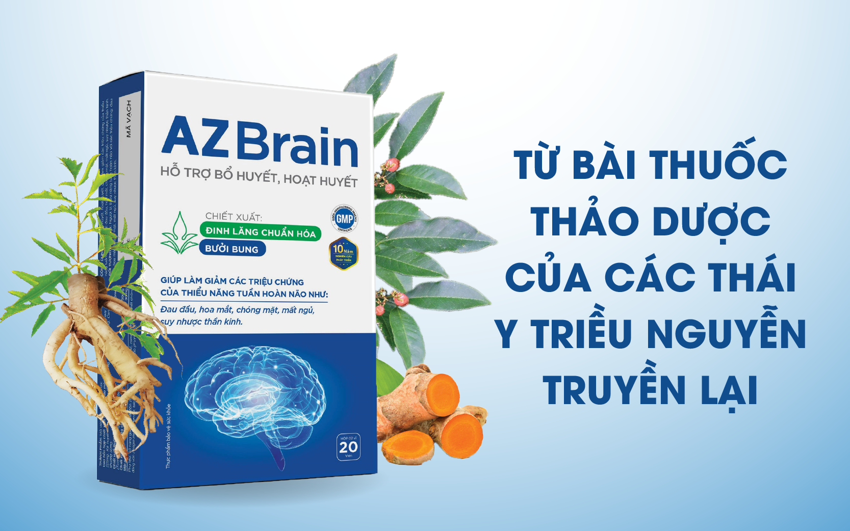 AZBrain - bổ huyết, hoạt huyết