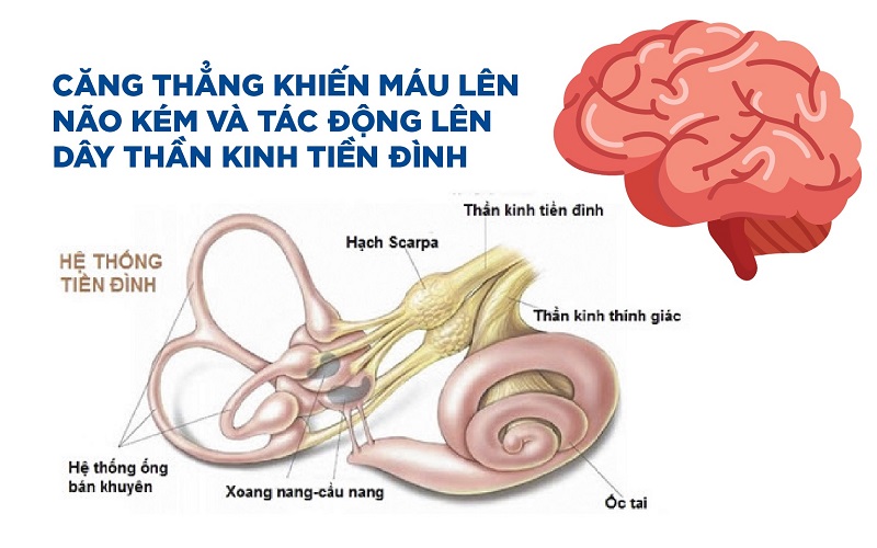 Căng thẳng khiến máu lên não kém và tác động lên dây thần kinh tiền đình