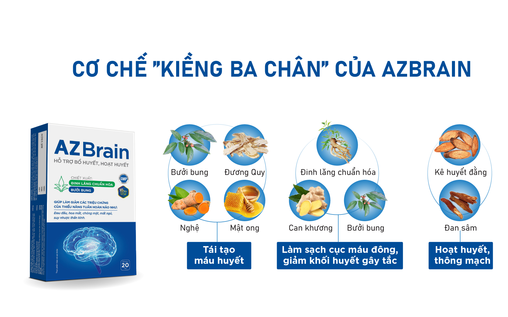 AZBrain bào chế dựa trên bài thuốc Thái Y Triều Nguyễn với cơ chế “kiềng 3 chân” cải thiện chứng đau đầu, chóng mặt, tụt huyết áp kỳ kinh nguyệt