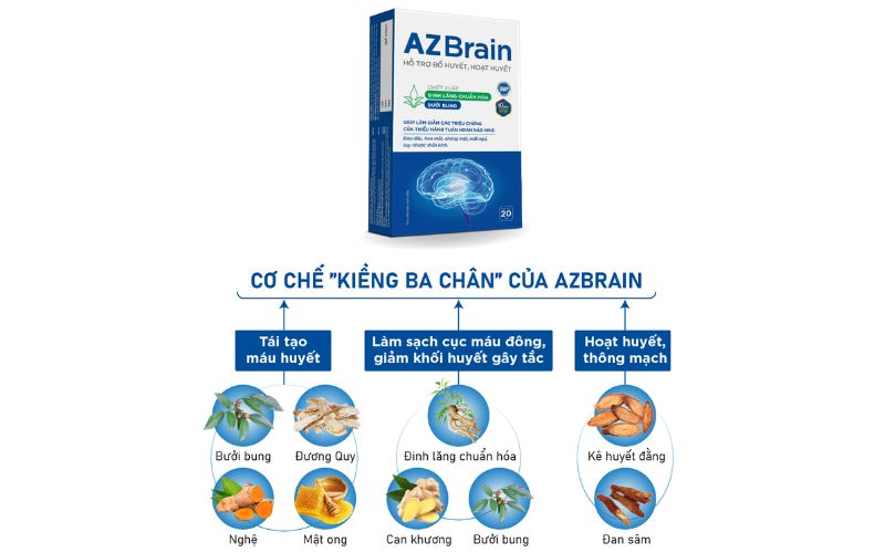 Cơ chế kiềng 3 chân của AZBrain có thể giúp cải thiện huyết áp thấp hiệu quả