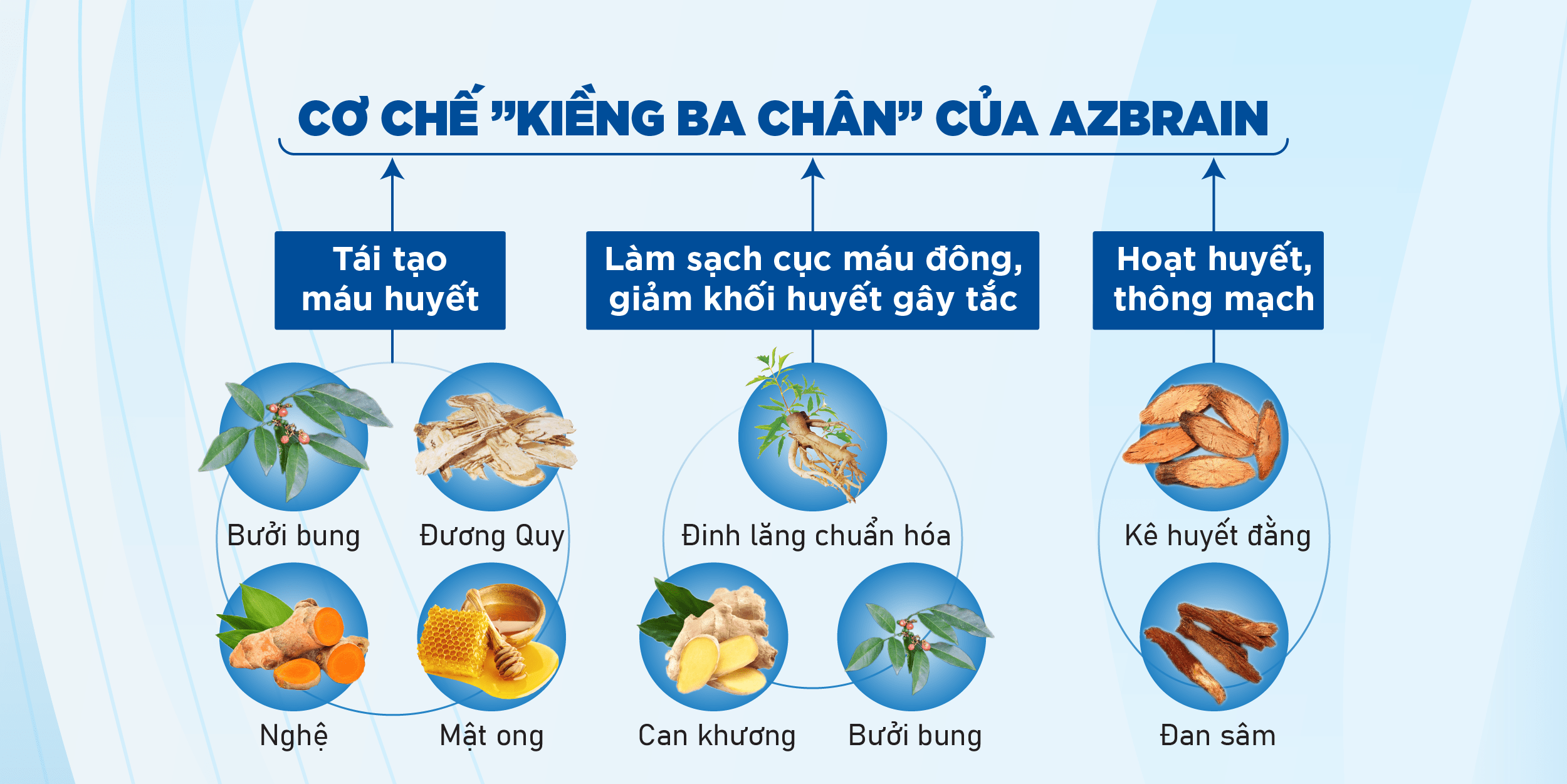 Cơ chế “kiềng ba chân” giúp ổn định huyết áp lâu dài, bền vững