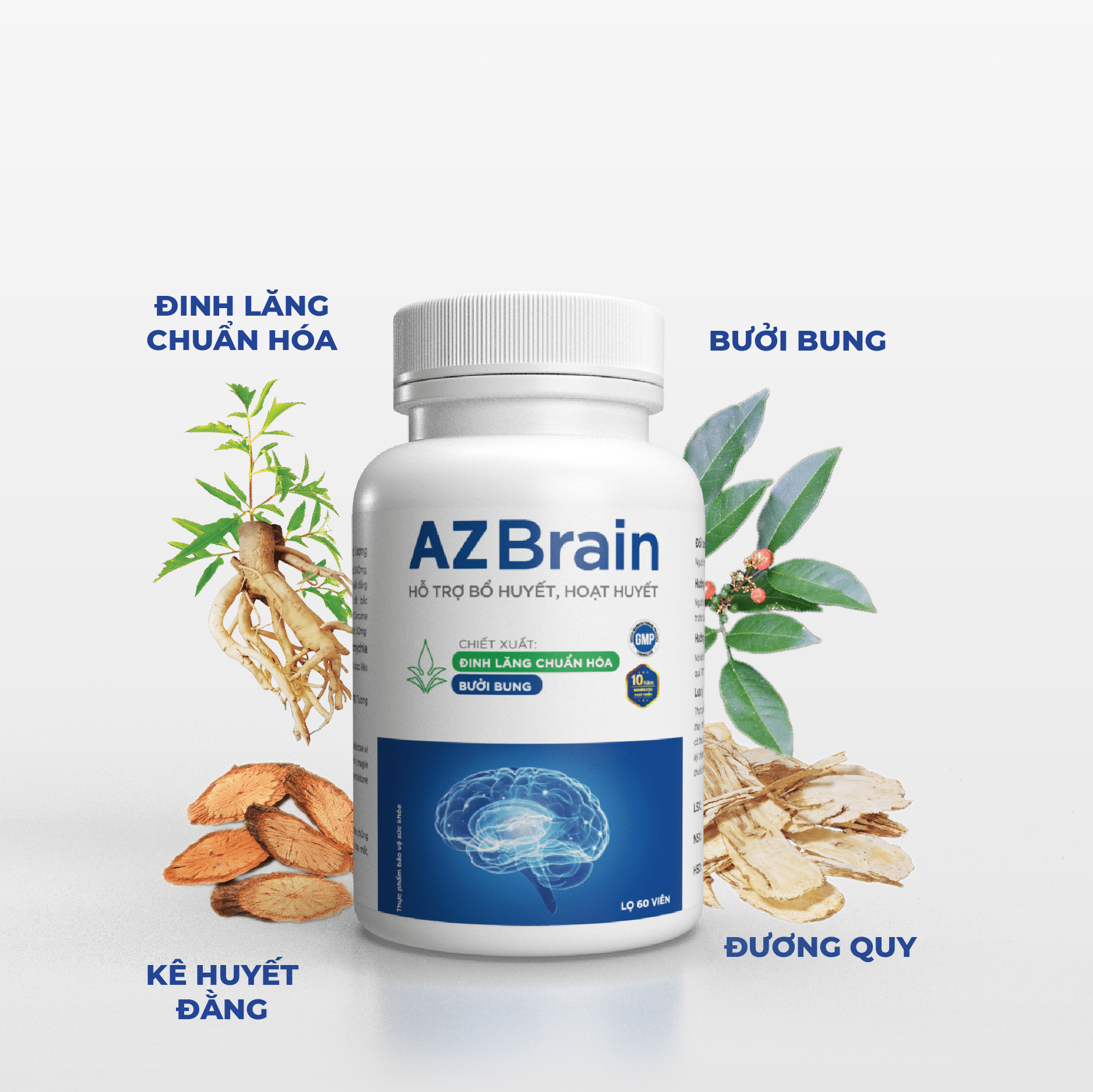 AZBrain - Bài thuốc cổ truyền hỗ trợ điều trị huyết áp cao
