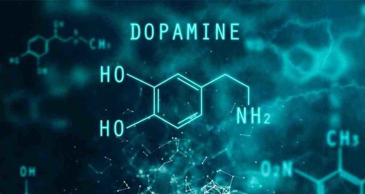Thiếu hụt Dopamine gây ra chứng bệnh Parkinson ở người trẻ