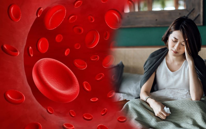 Phần lớn phụ nữ lưu thông máu kém là do thiếu máu chứ không phải cục máu đông, huyết khối